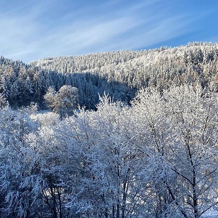 Ferienwohnung Stremme Willingen  Bagian luar foto