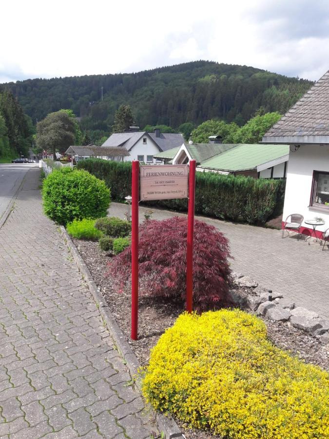 Ferienwohnung Stremme Willingen  Bagian luar foto