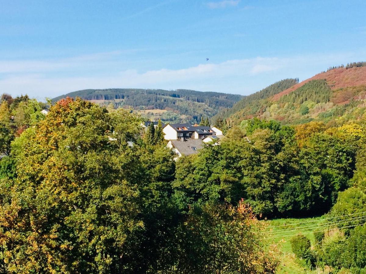 Ferienwohnung Stremme Willingen  Bagian luar foto