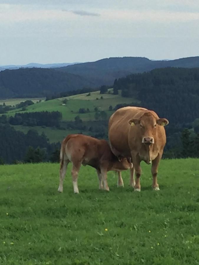 Ferienwohnung Stremme Willingen  Bagian luar foto