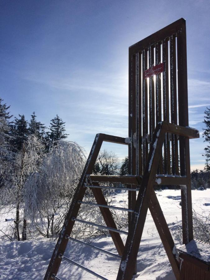 Ferienwohnung Stremme Willingen  Bagian luar foto