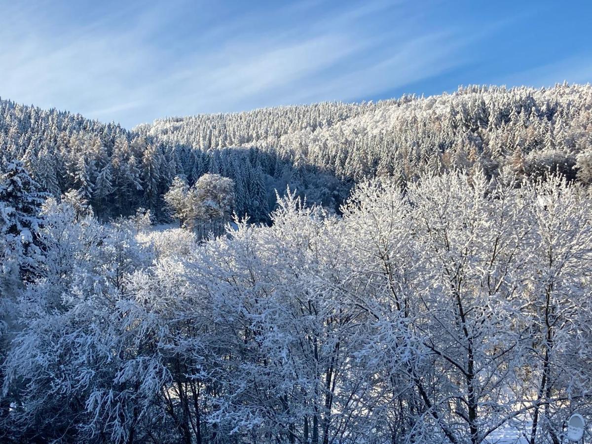 Ferienwohnung Stremme Willingen  Bagian luar foto